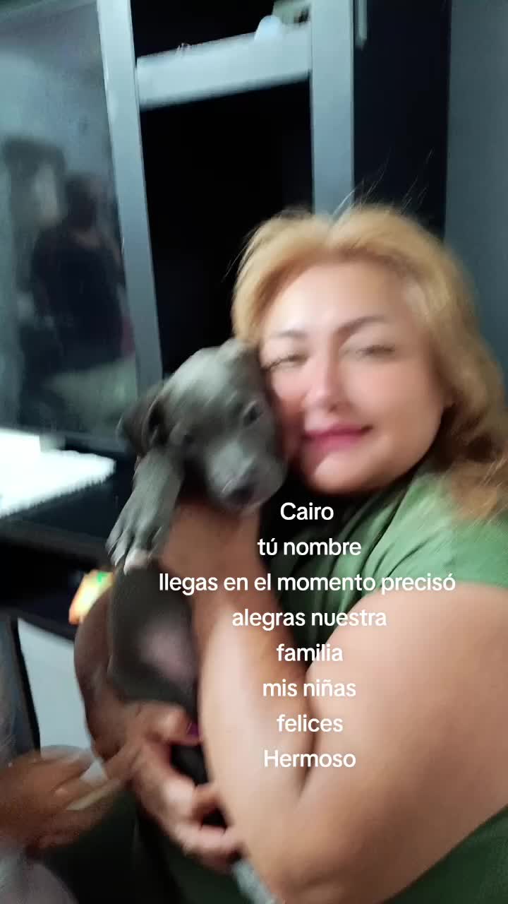 @Mirella Sedamanos