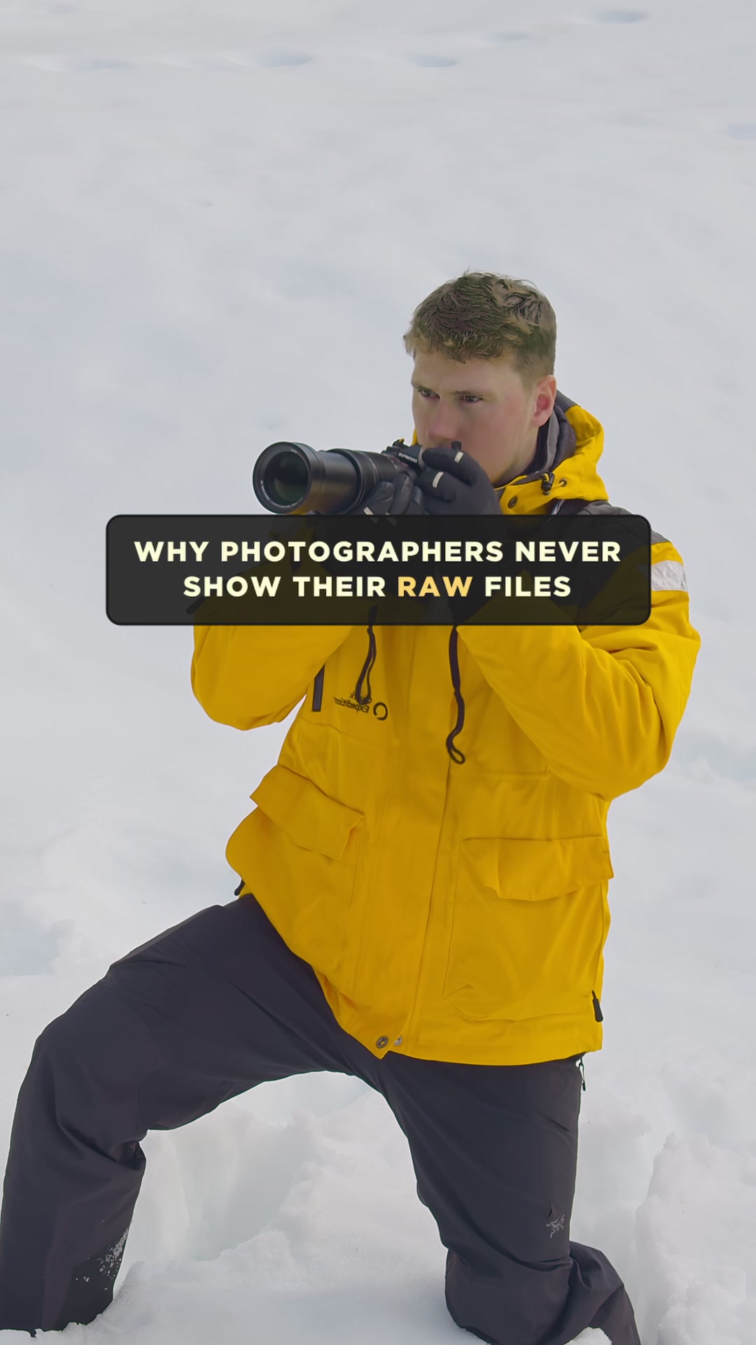 @Kai Meyer | Wildlife Filmmaker