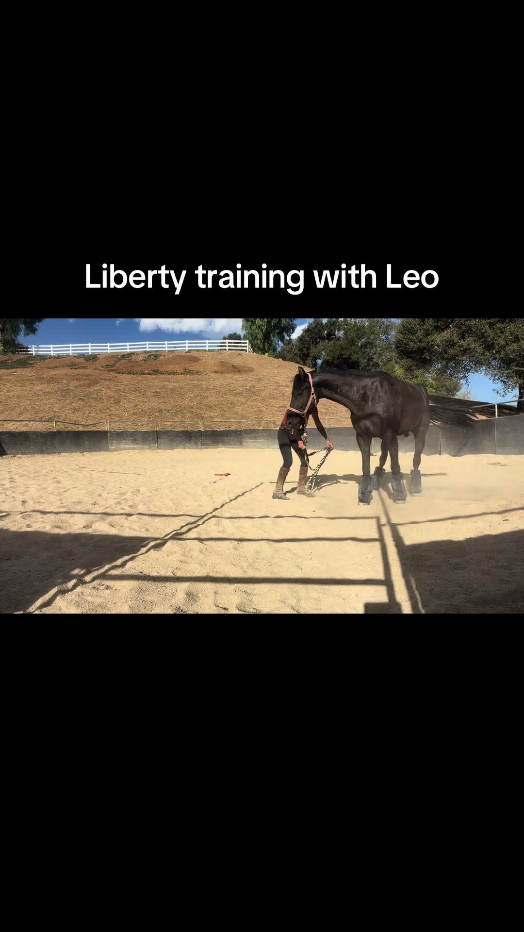 @runswiththeherd