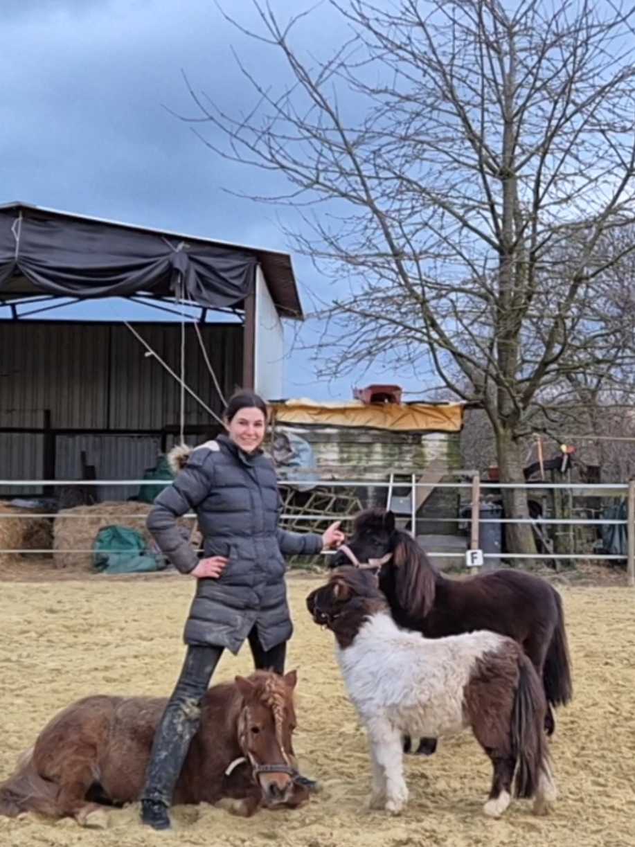 @Lisas kleine Ranch 🐴