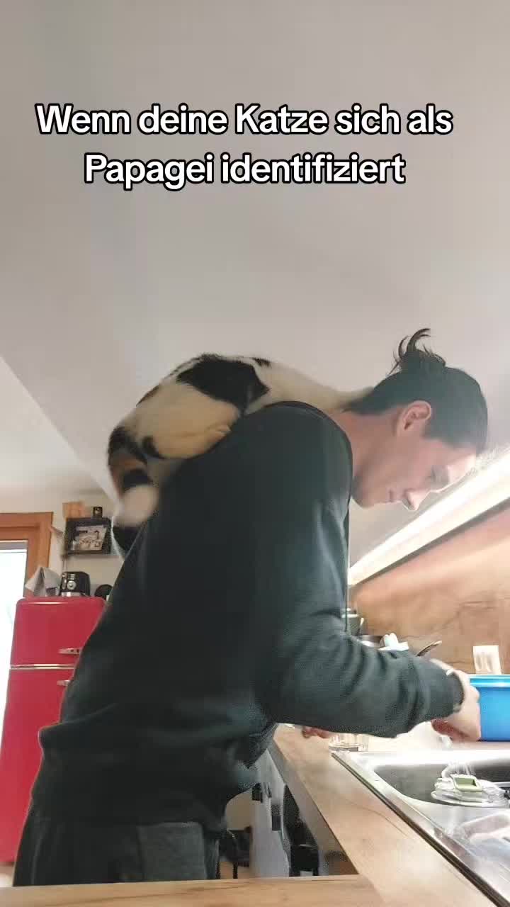 @Mountaingirl