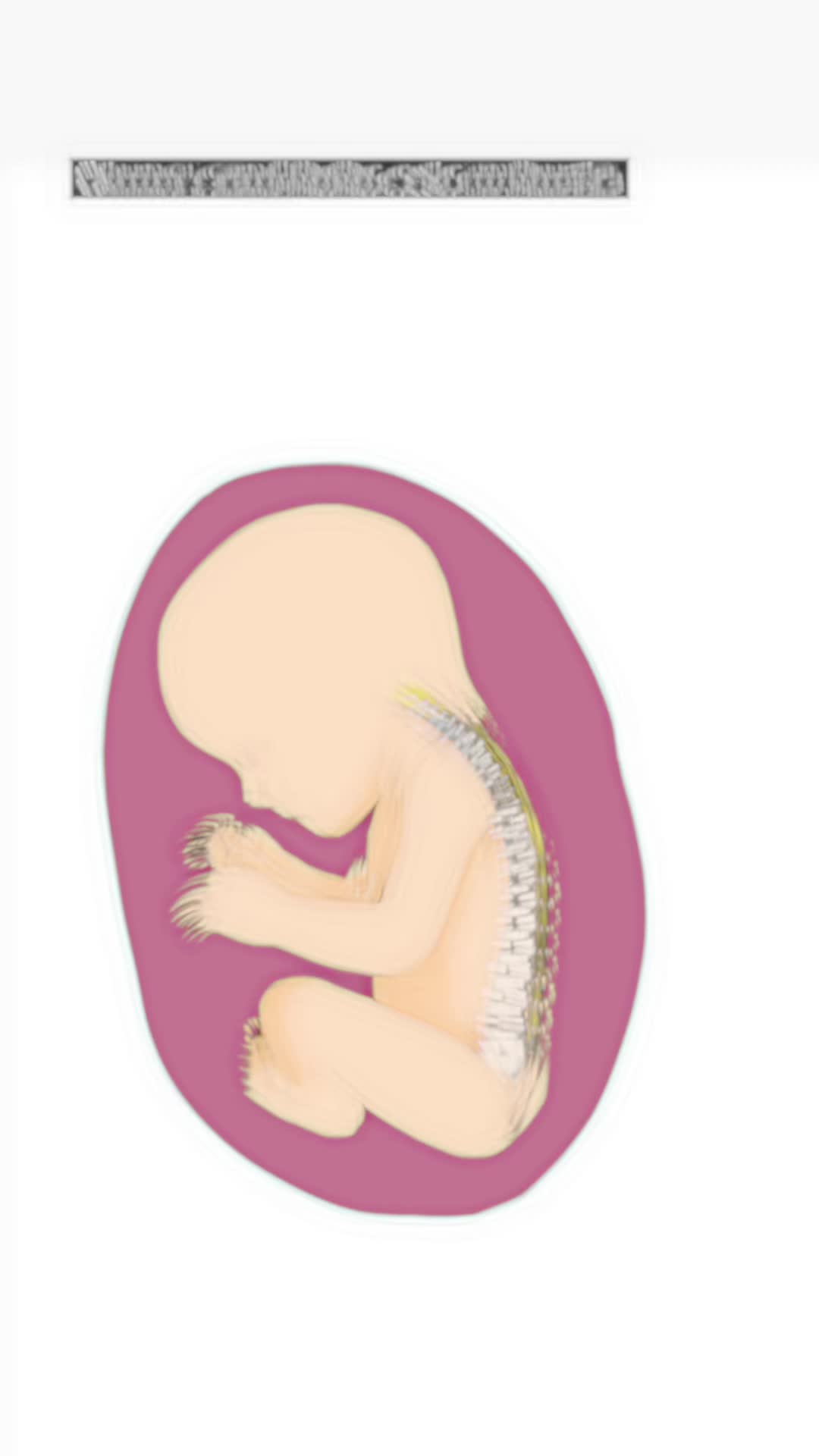 @Antonia | KinetoPediatrie