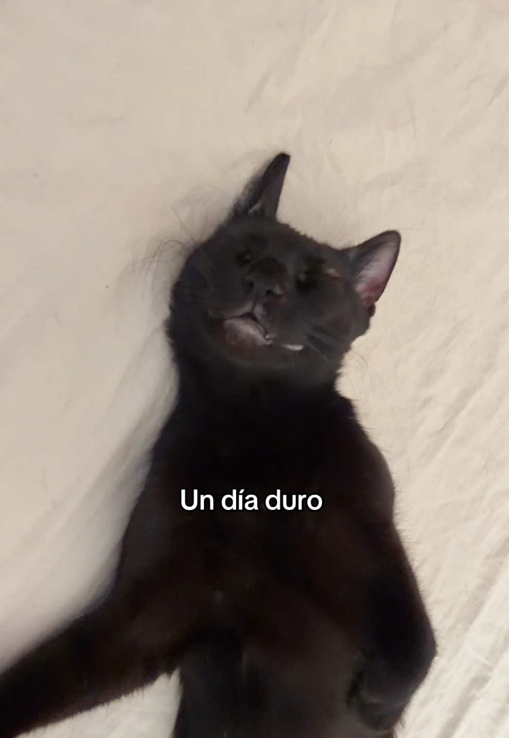 @Petronela