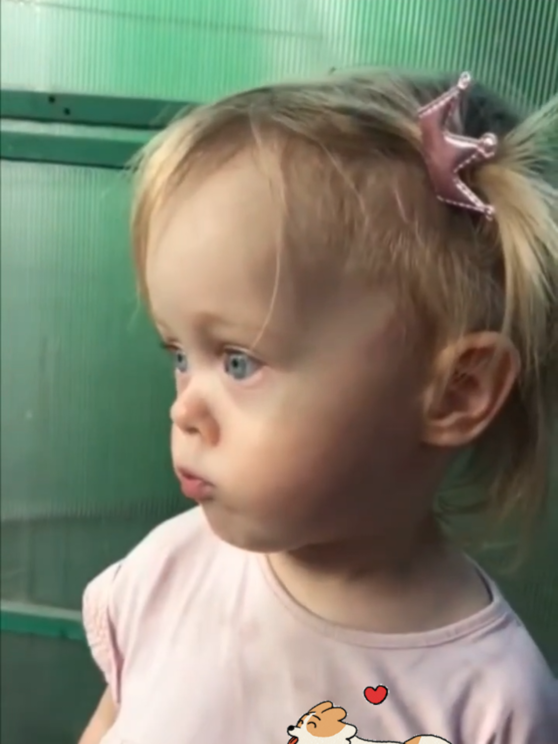 @Нужное и не Нужное 🤣