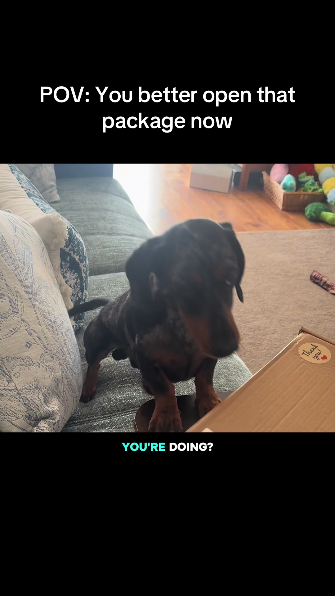 @dibblydobbly_dax