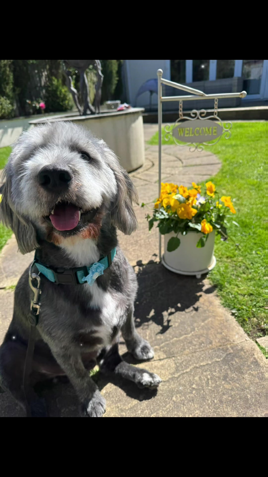 @PamperedPaws