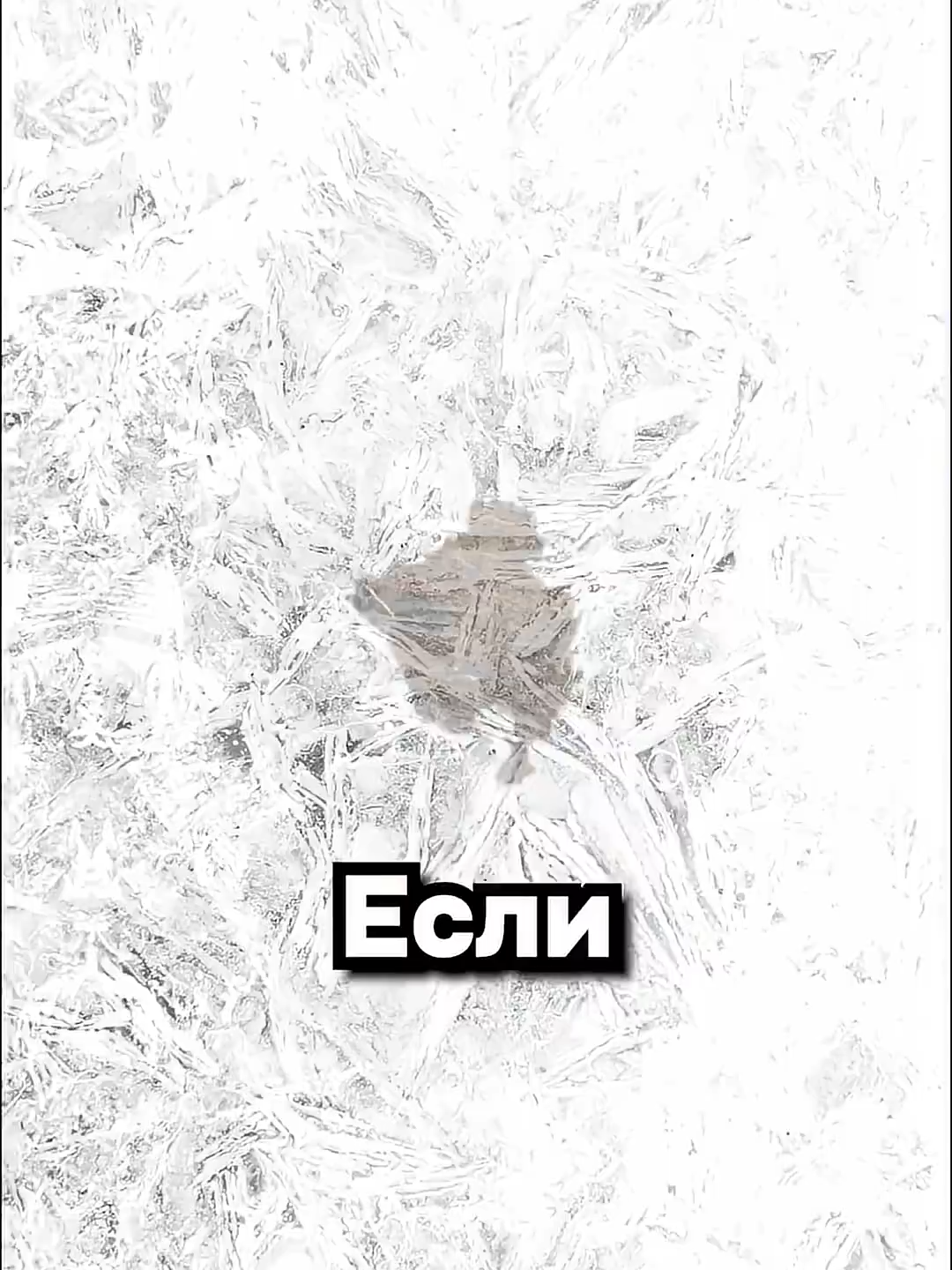 @user6793595509922