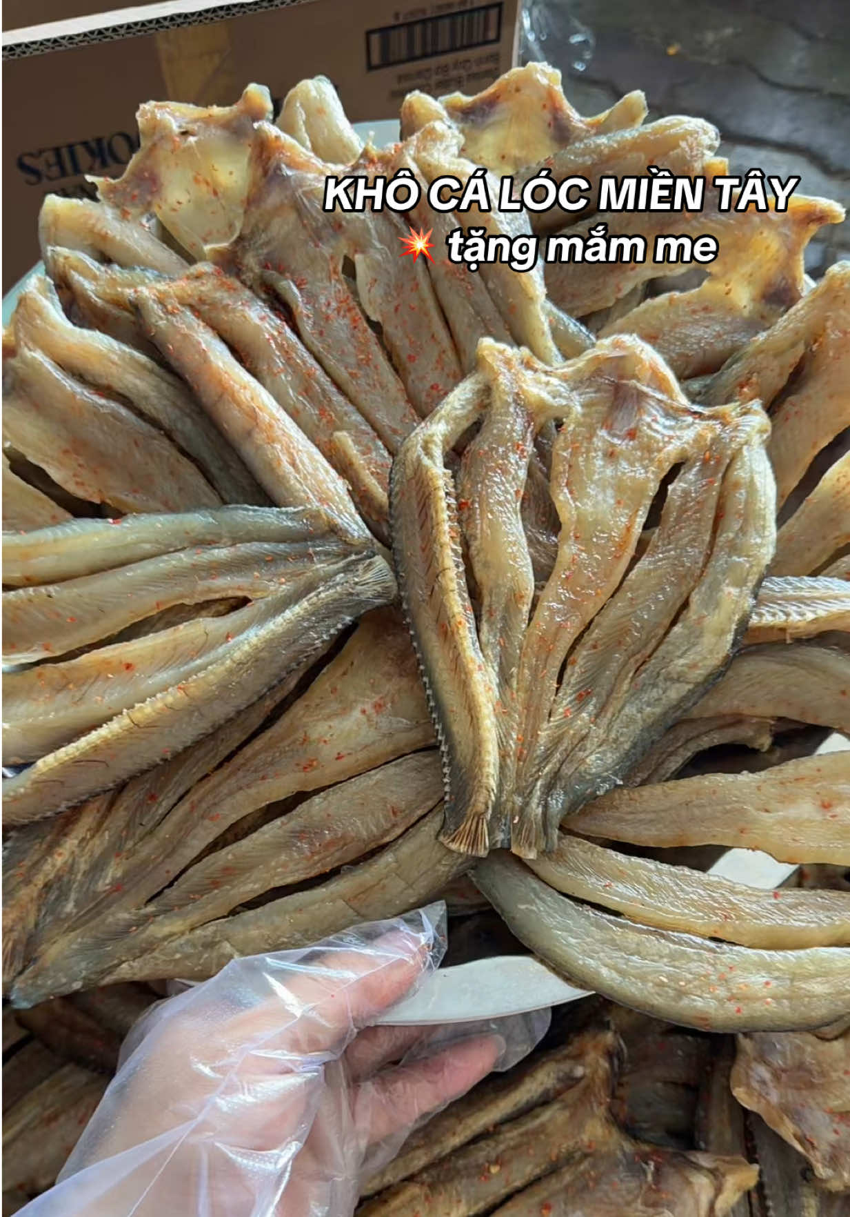 @TPFOOD