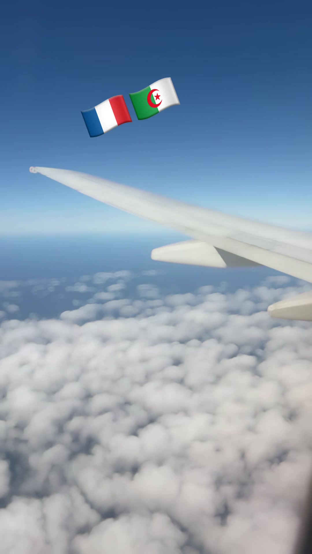 @Rani🇫🇷