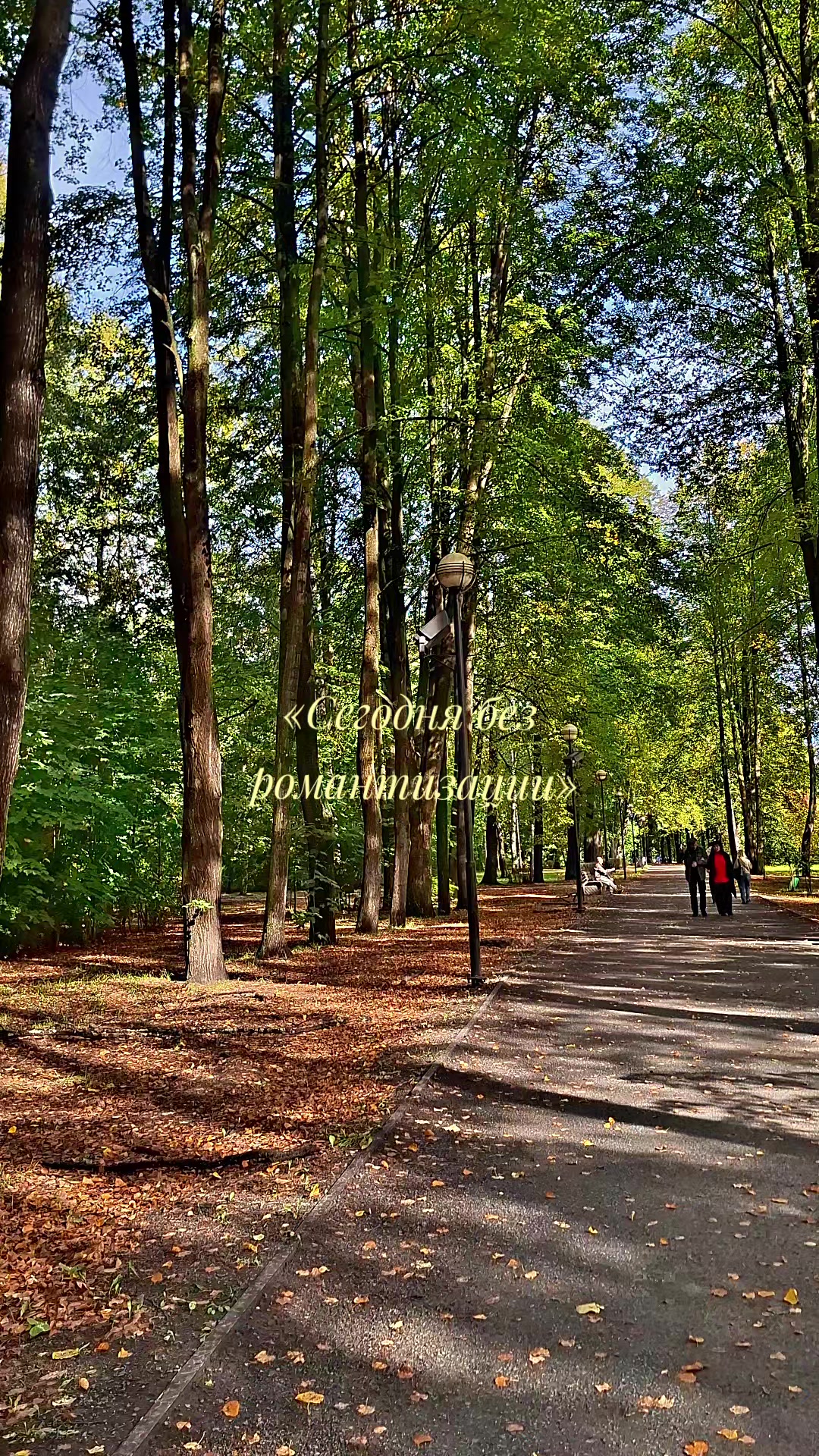 @anna 𝜗ৎ