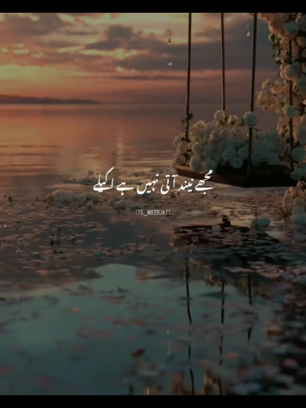 @Its_Meerjat