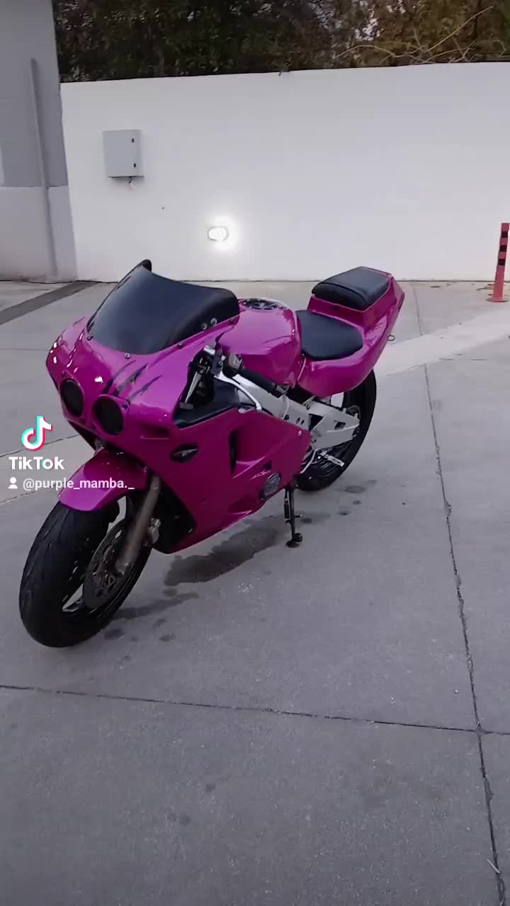 @Purple_Mamba._