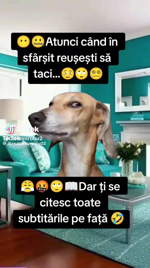 @Tudorsandu s