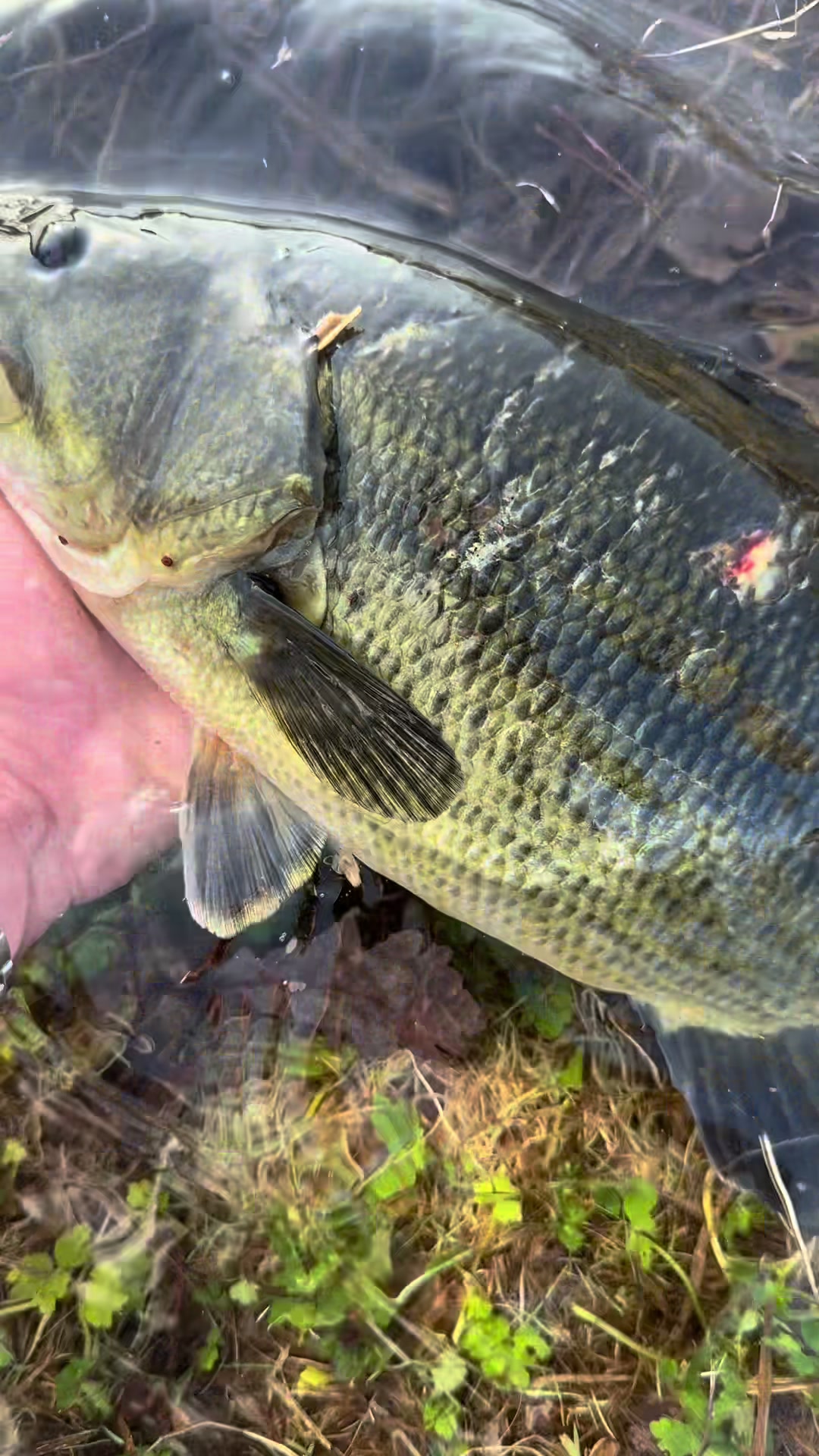 @Julien_.fishing_