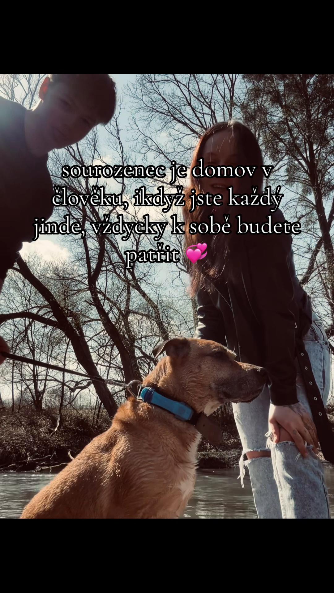 @brunkys