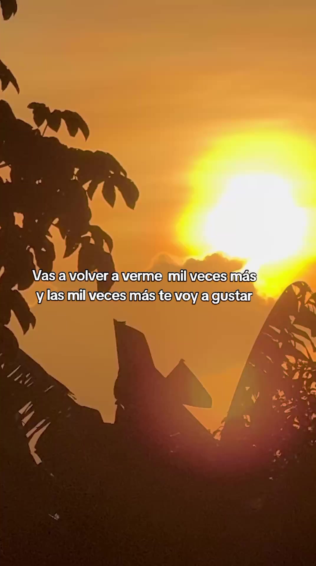 @Michel Apocalipsis