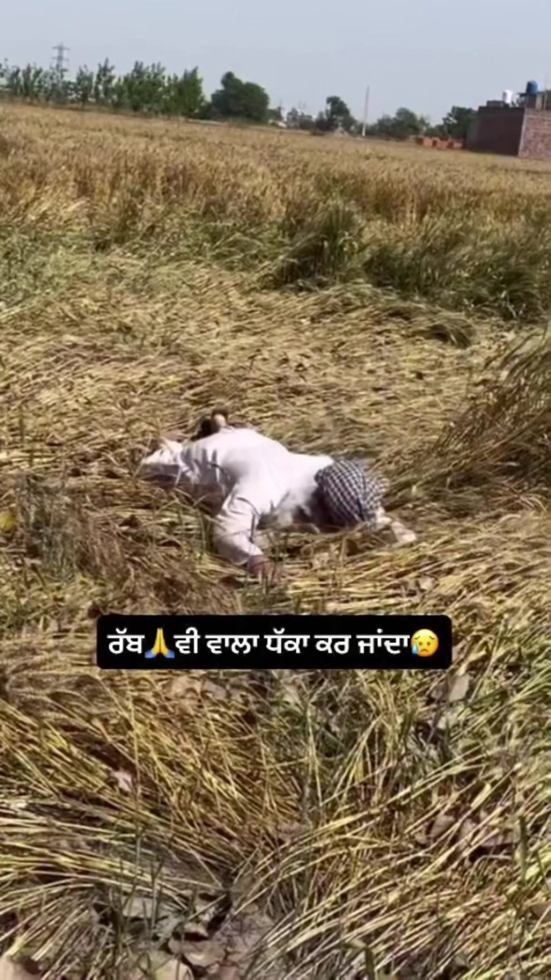 @SF🤝jaskirat🇮🇹