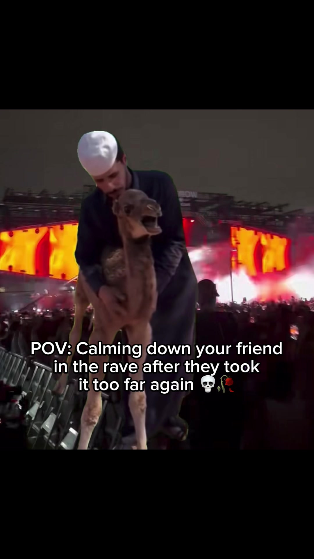 @DJ Novu