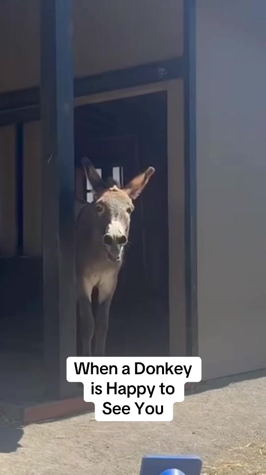 @DrJondy