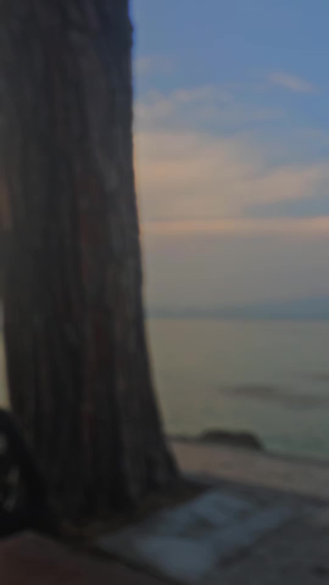 @veronica ๐
