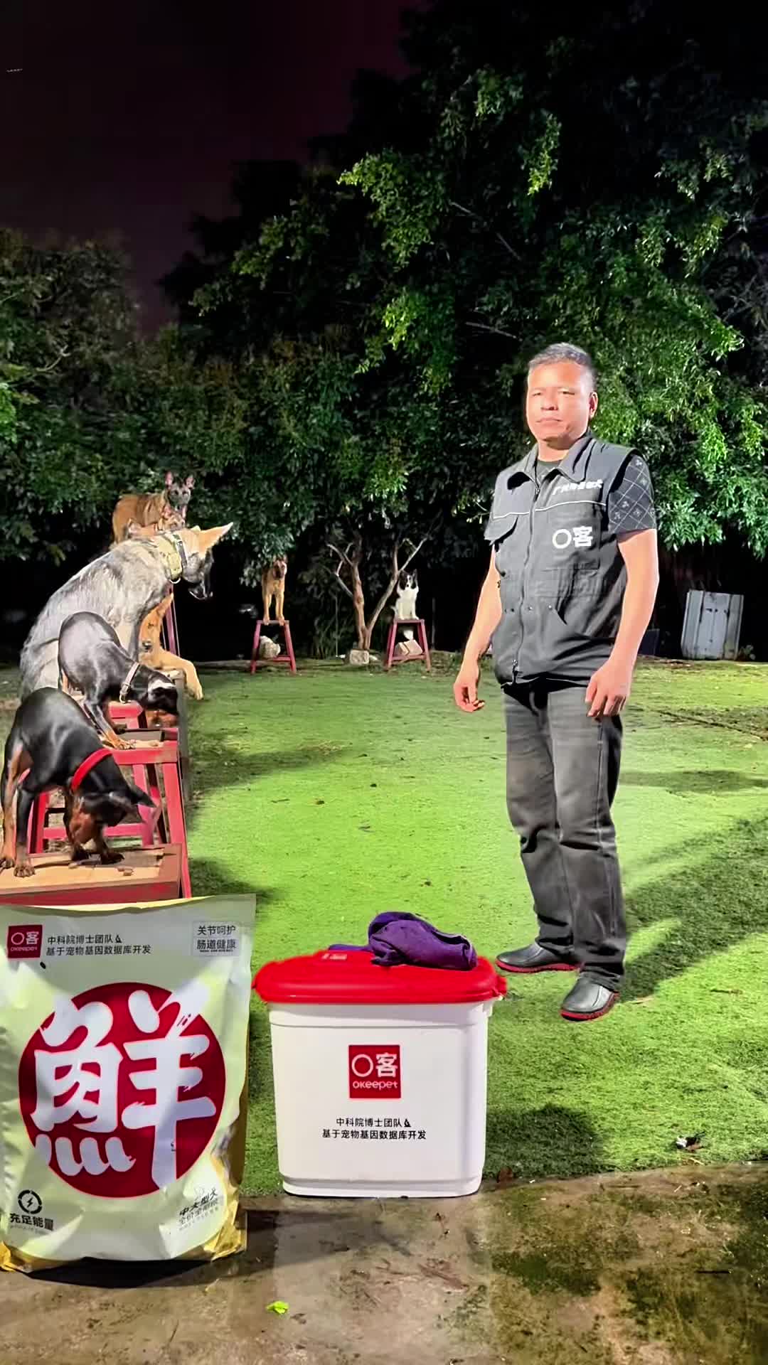 @Dog training ®