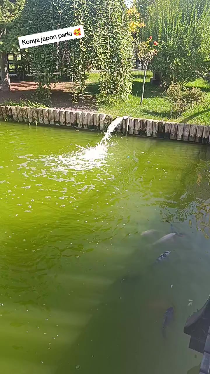 @🌼🌼NİHAL🌼🌼