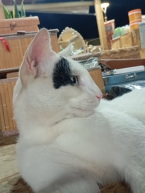 @Διαχειρος Ειρήνη 🌀Ψ 🇬🇷