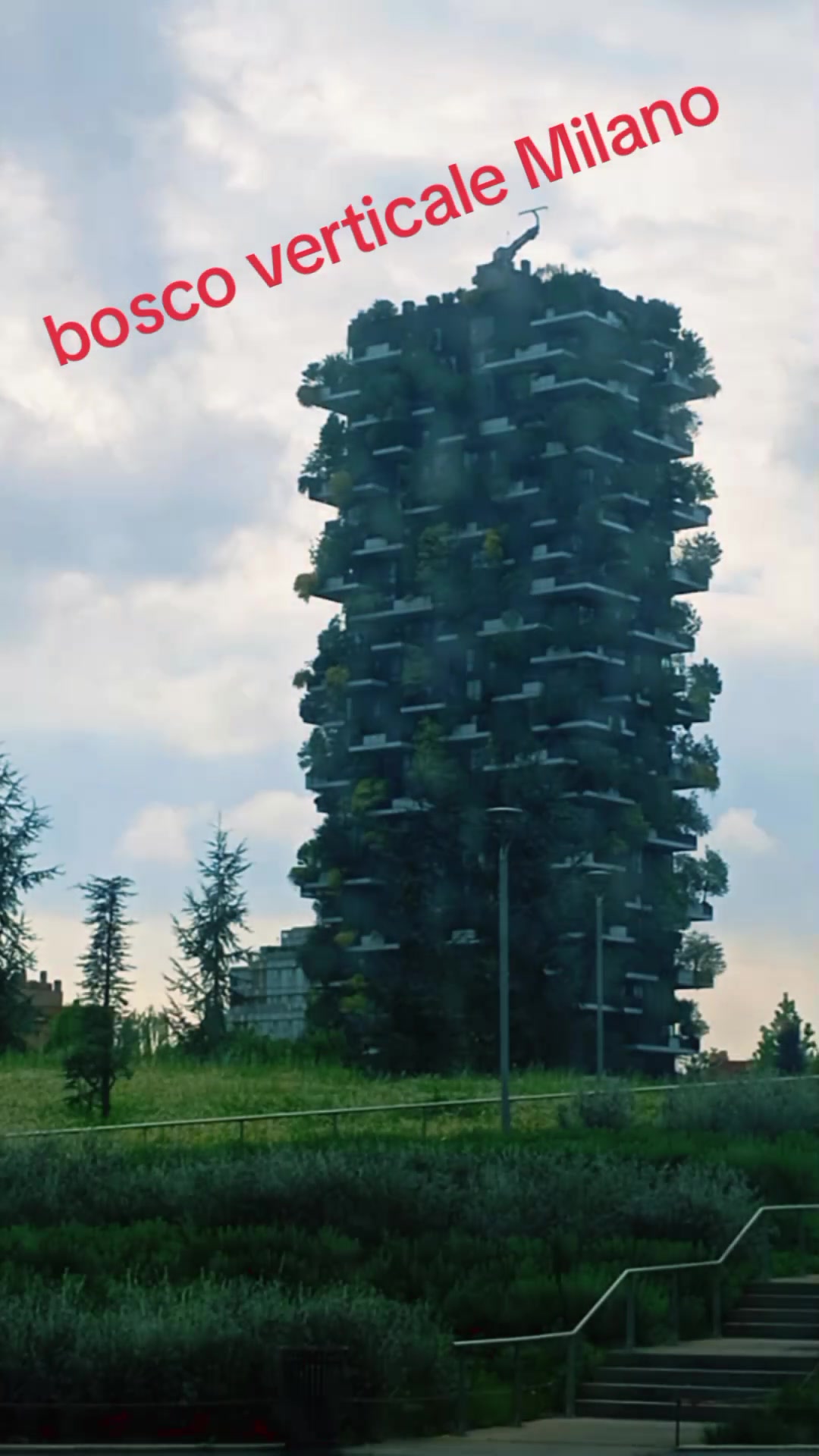 @silvestroruggeri0