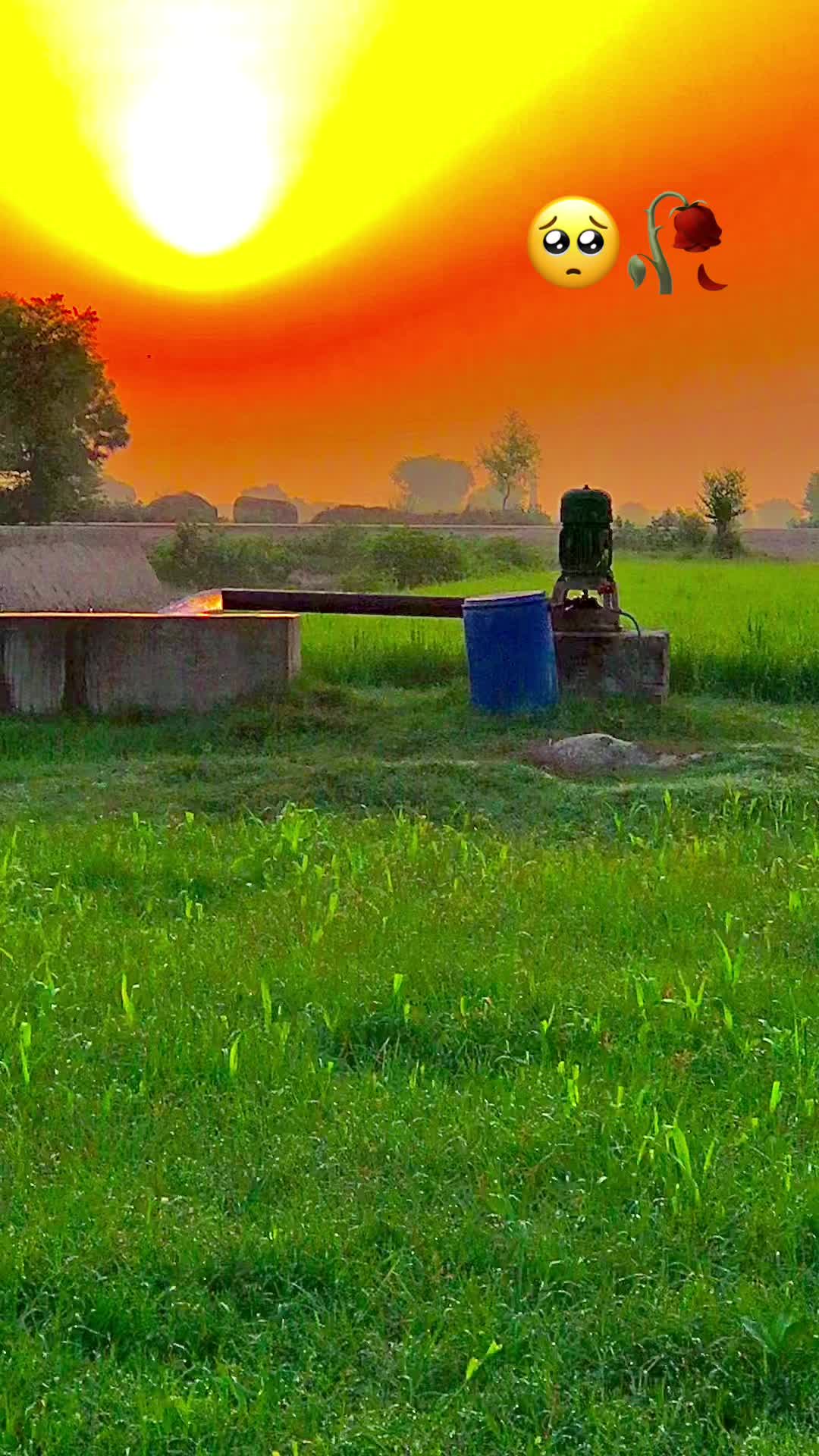 @پنجابی لڑکی🍃🌱💯