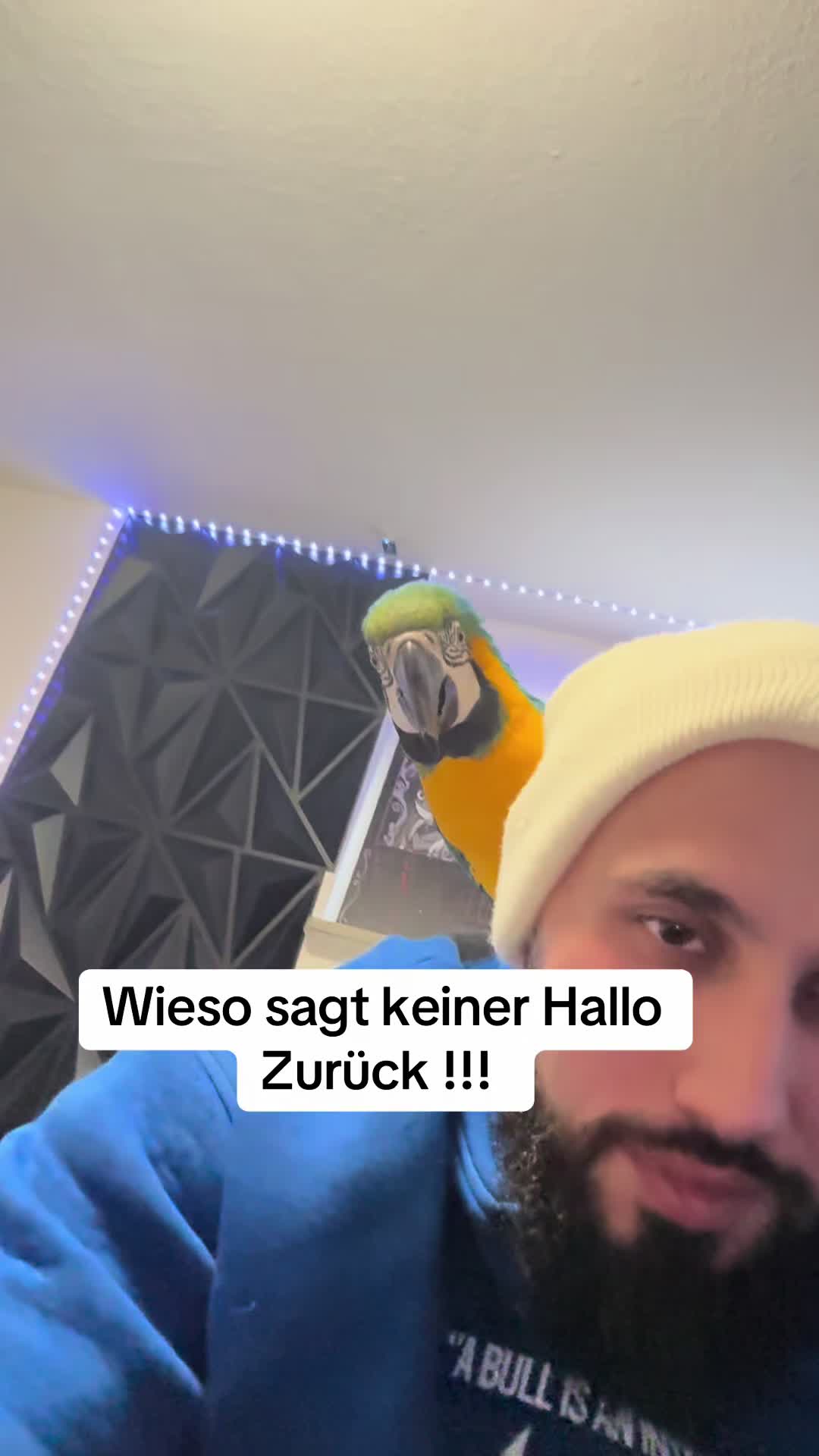 @Shankshaki