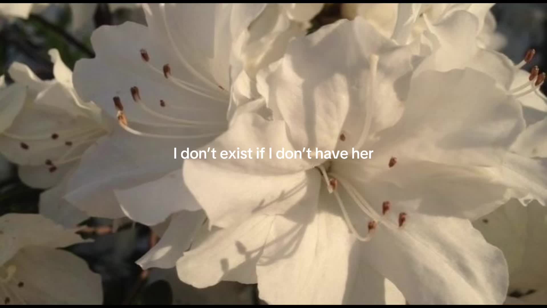 @𝐴𝑛𝑥𝑔𝑒𝑙༄