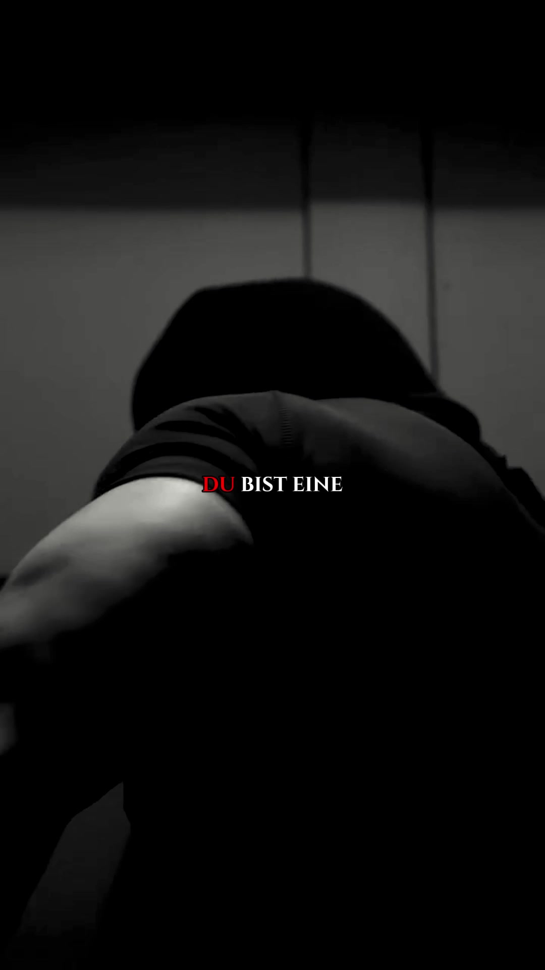 @Elite Rex