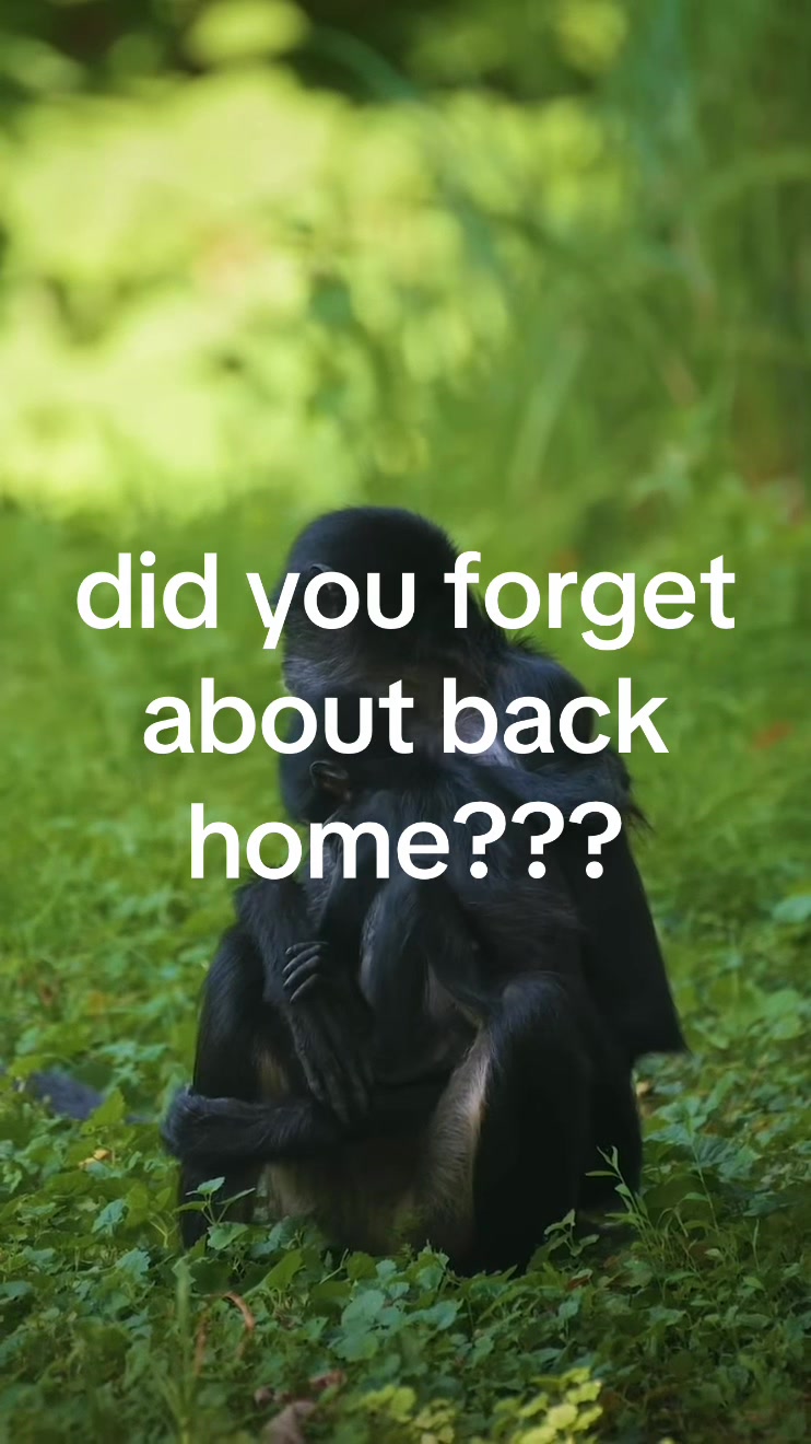 @RICKZ