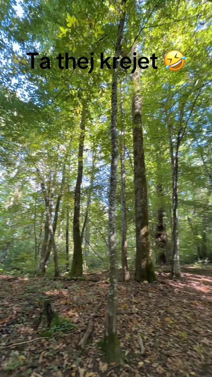 @dibraaa44