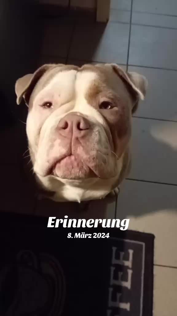 @Angi + Odin OEB