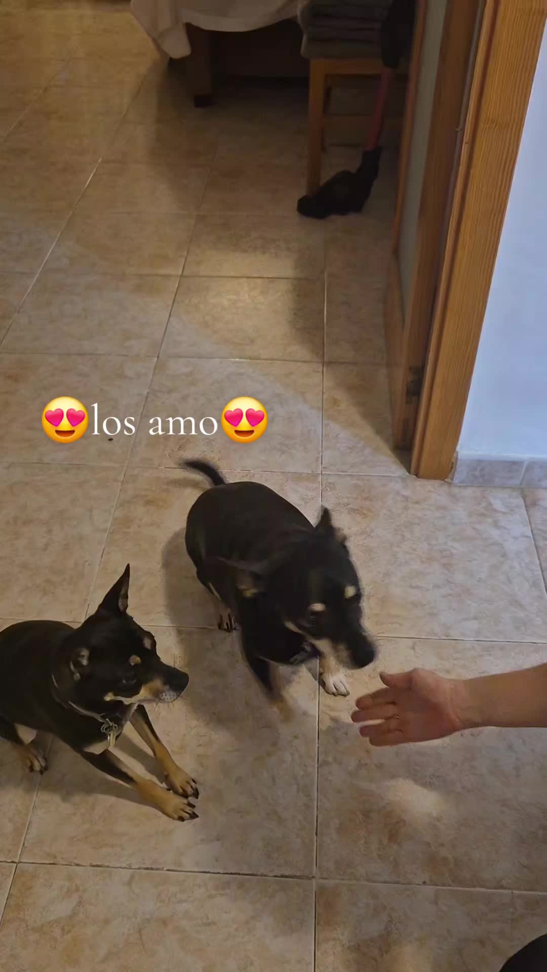 @AntoCM💕