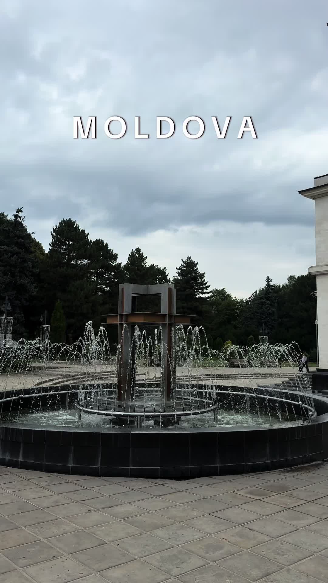 @nicoleta_moldoveanca