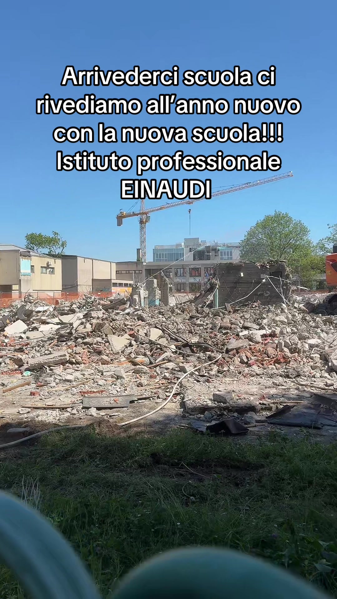 @Daniela Piscopo