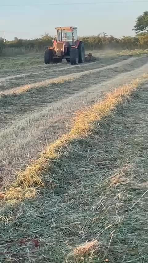 @Se&aacute;n Whelton 🚨 🚜 🌽