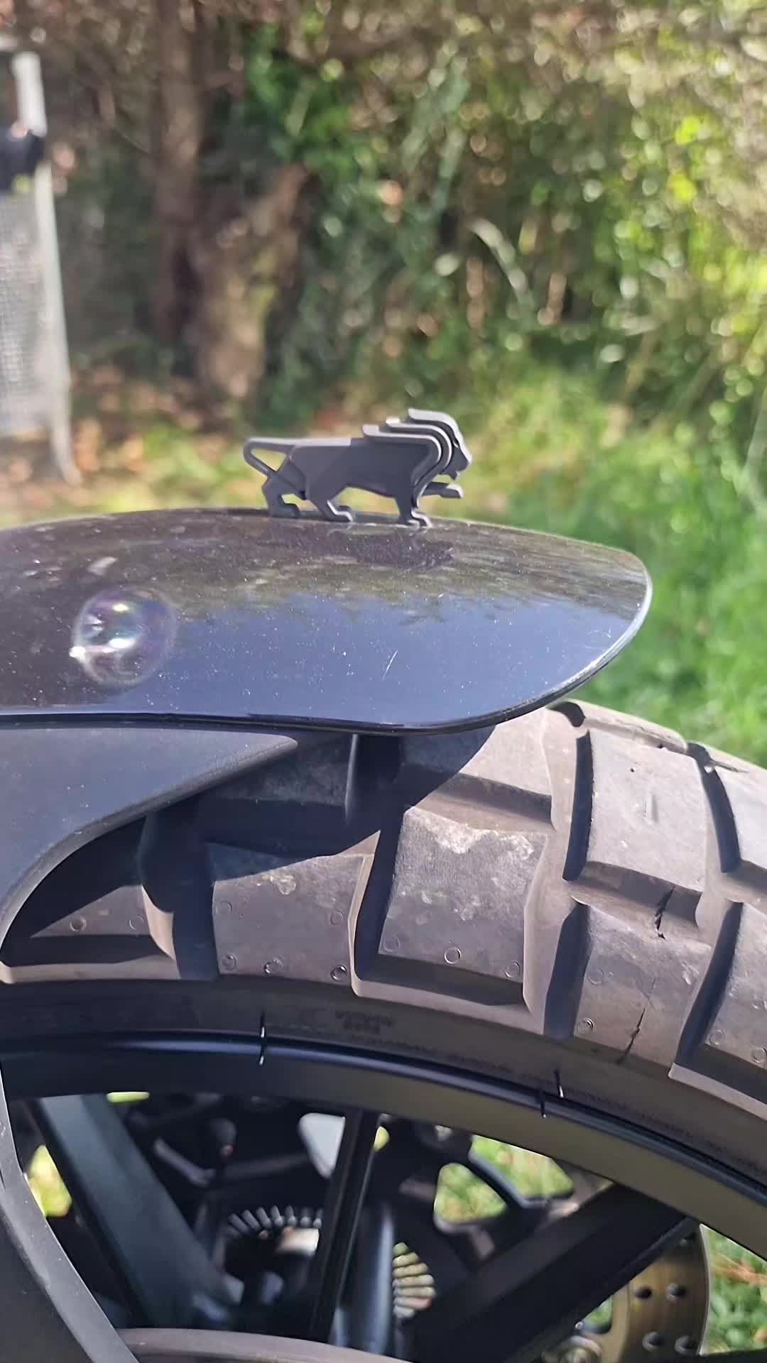 @rui Pires
