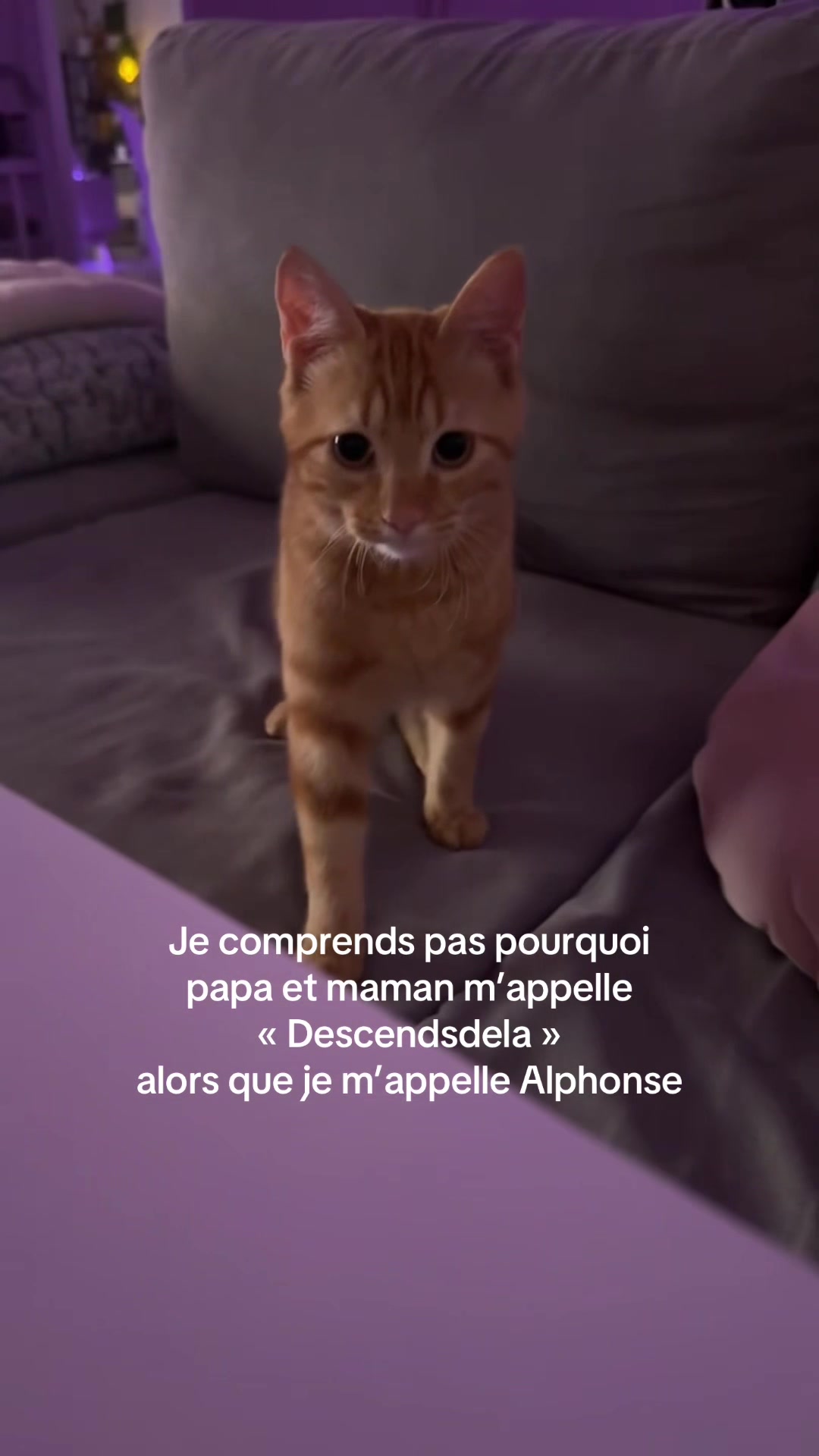 @Camillou