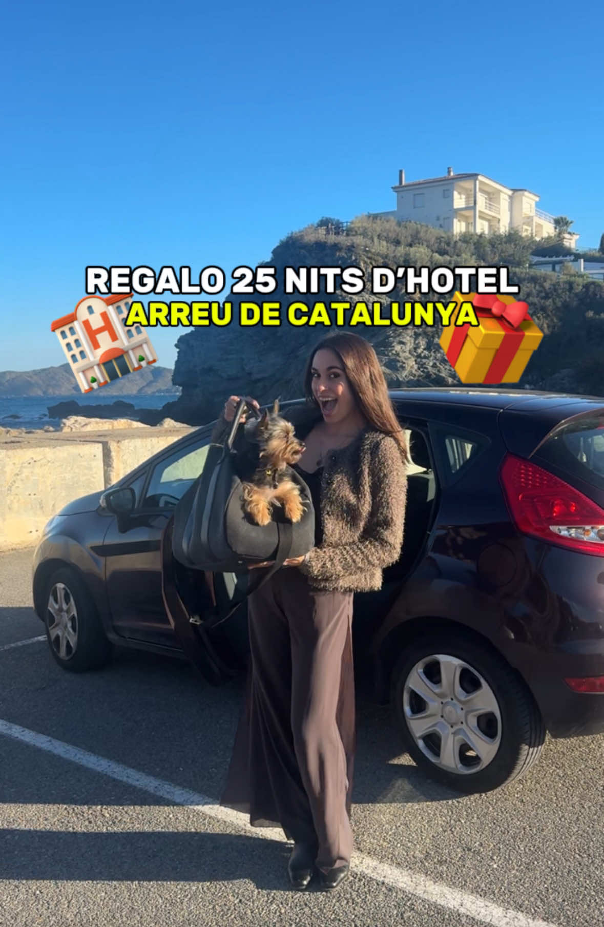 @Carla Cobo
