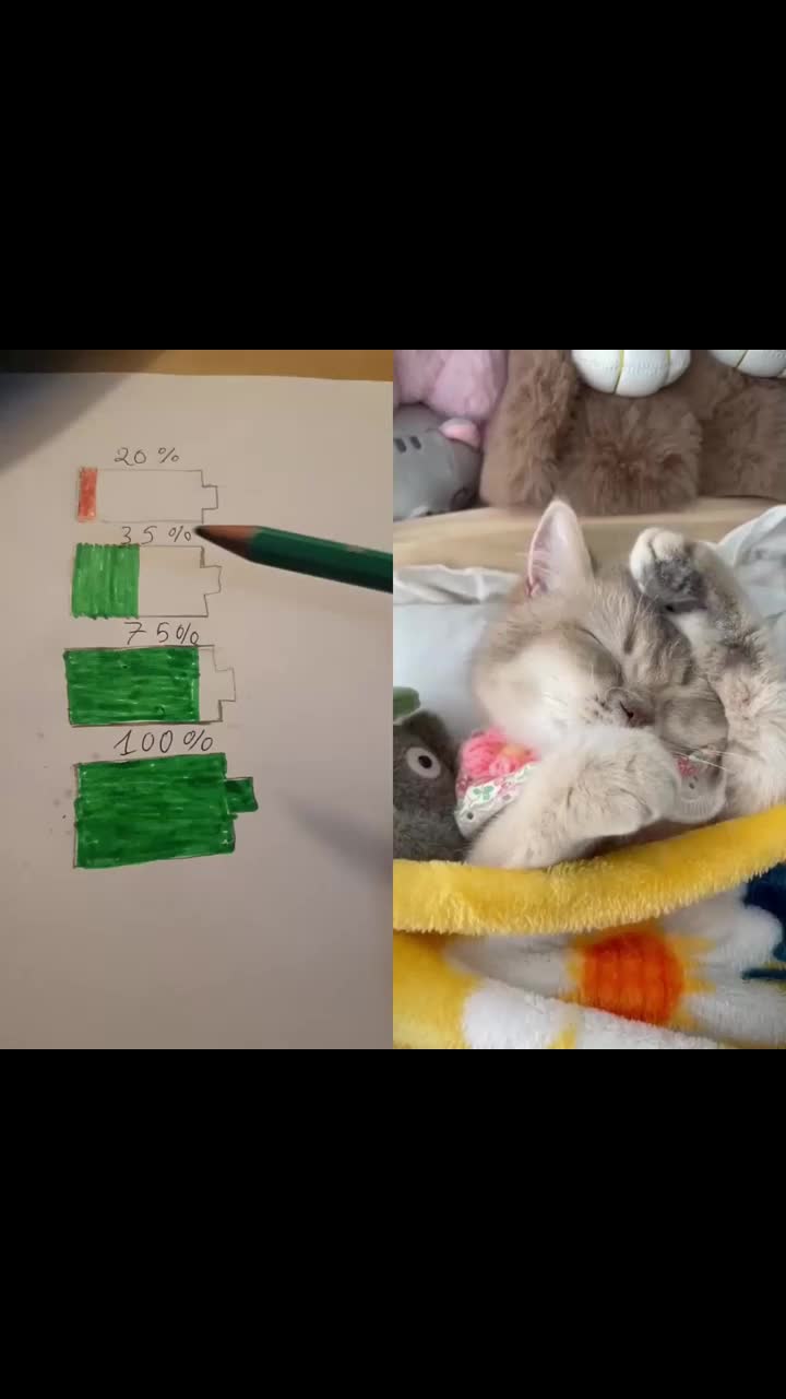 @MAX544Y54