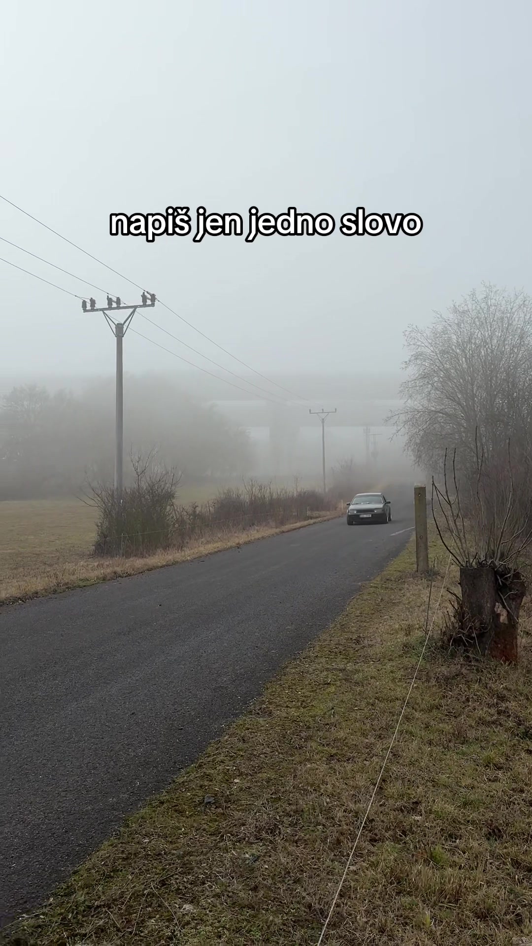 @Terezka98