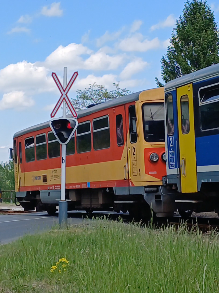 @Dominik 🚂🚃🚌