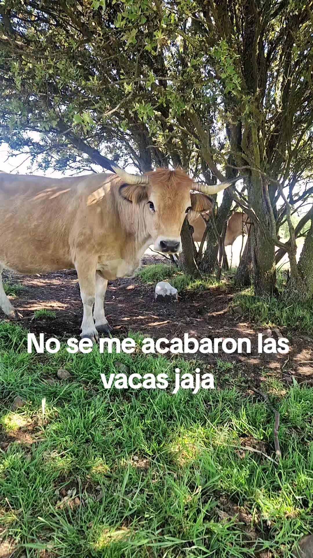 @Ari La Pastora