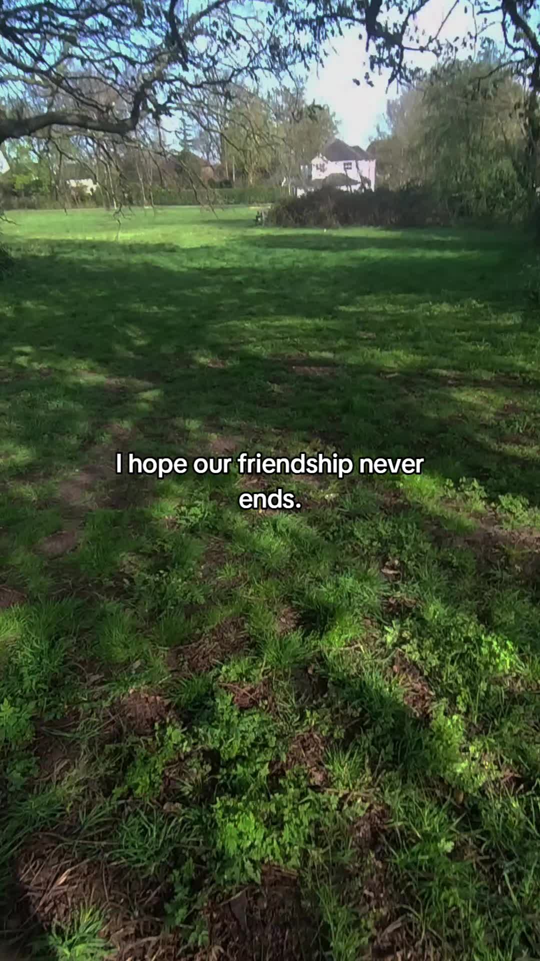 @JJ