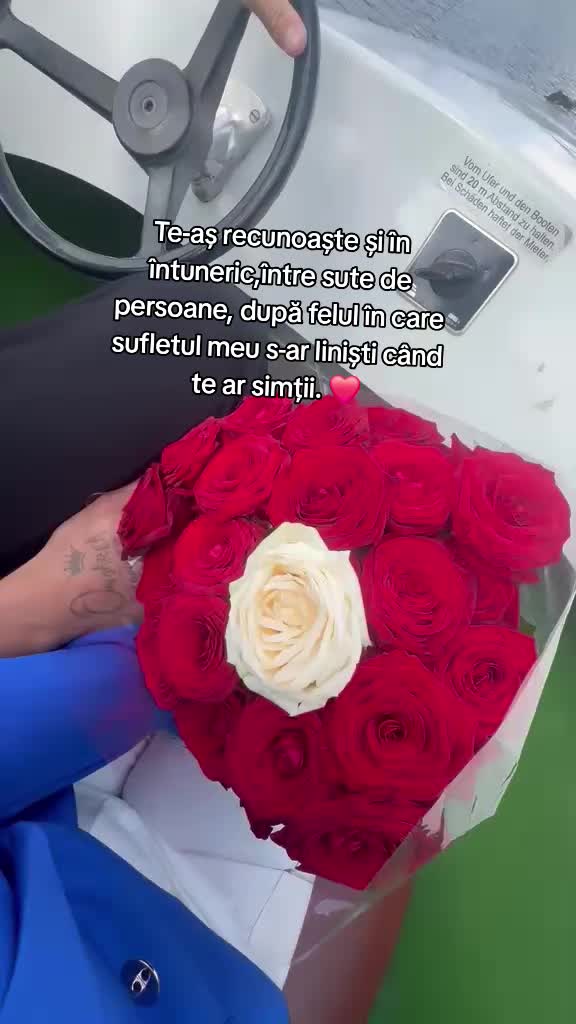 @💥GAVRILĂ TRAIAN💥