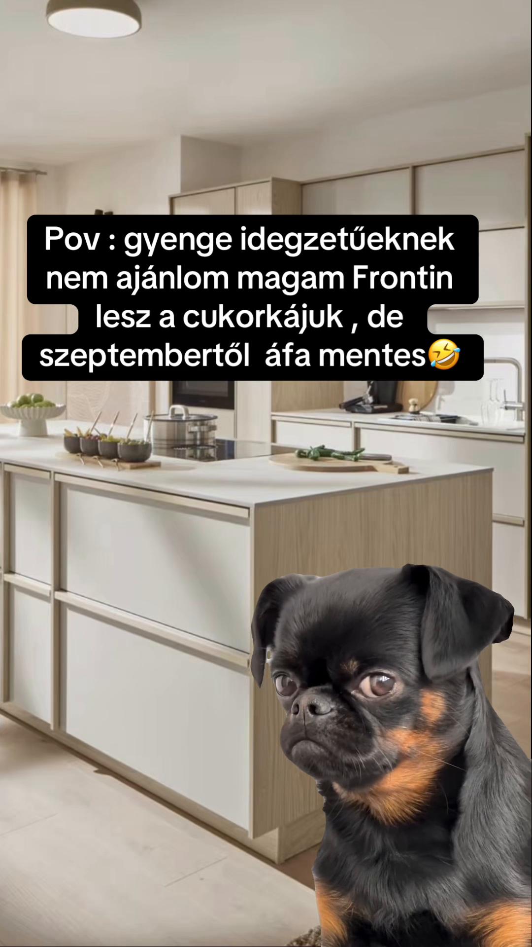 @Nem harap 🅰️ néni 🪷