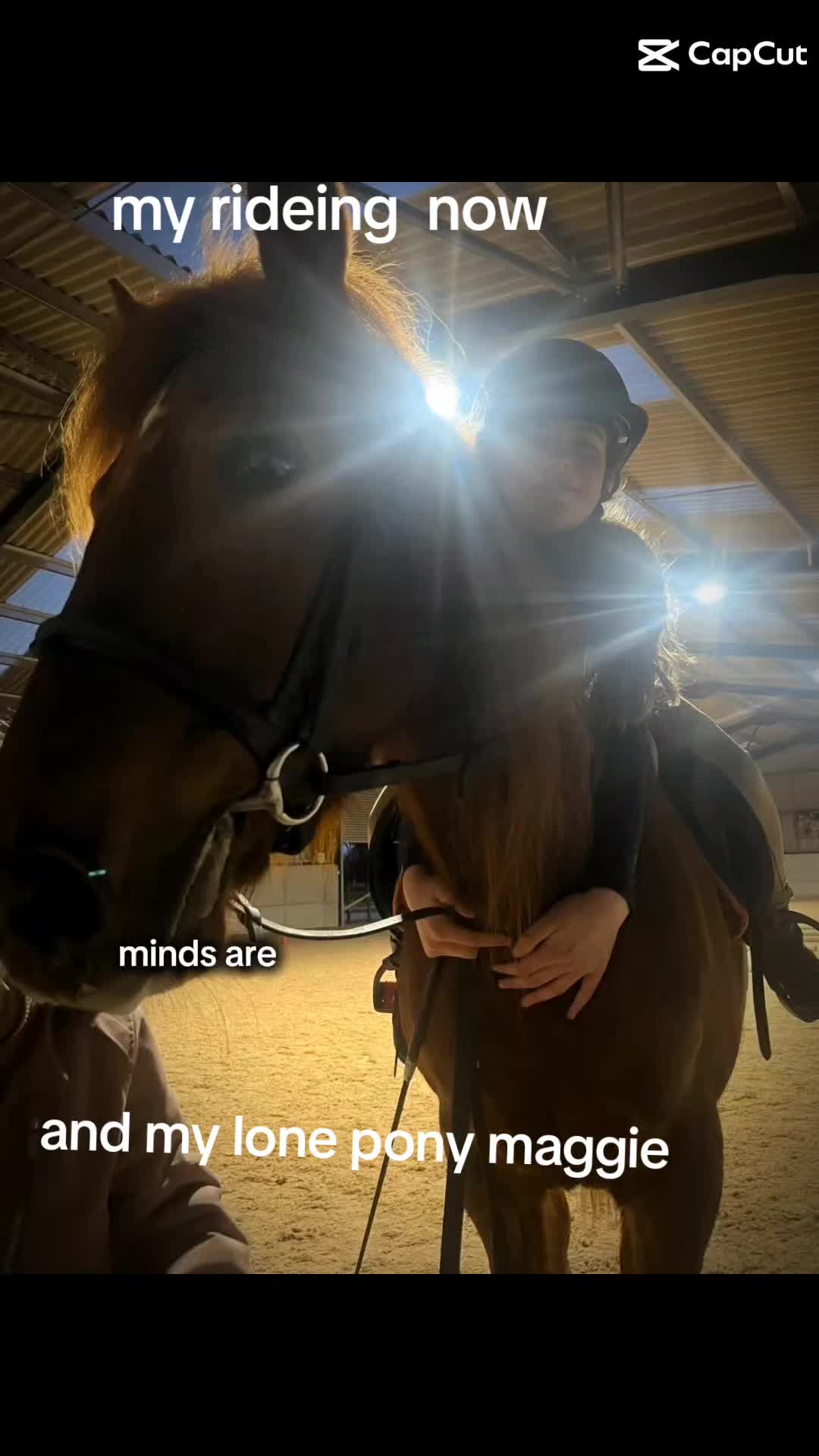 @Maggie + millie = ❤️ 💖 💓
